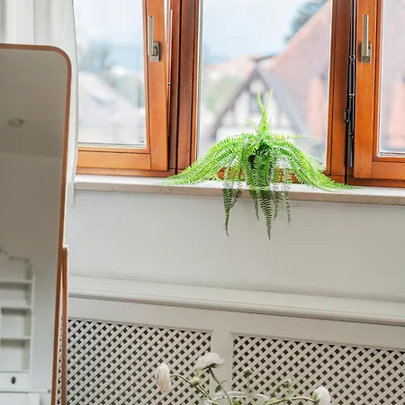 דירה Bergblick Penthouse *