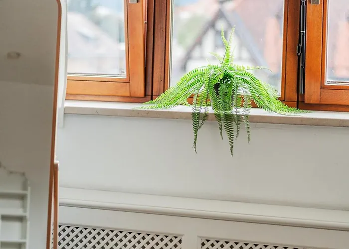 Daire Bergblick Penthouse *